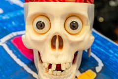 DSC00003